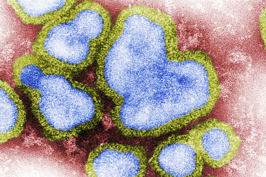 Virus influenza 