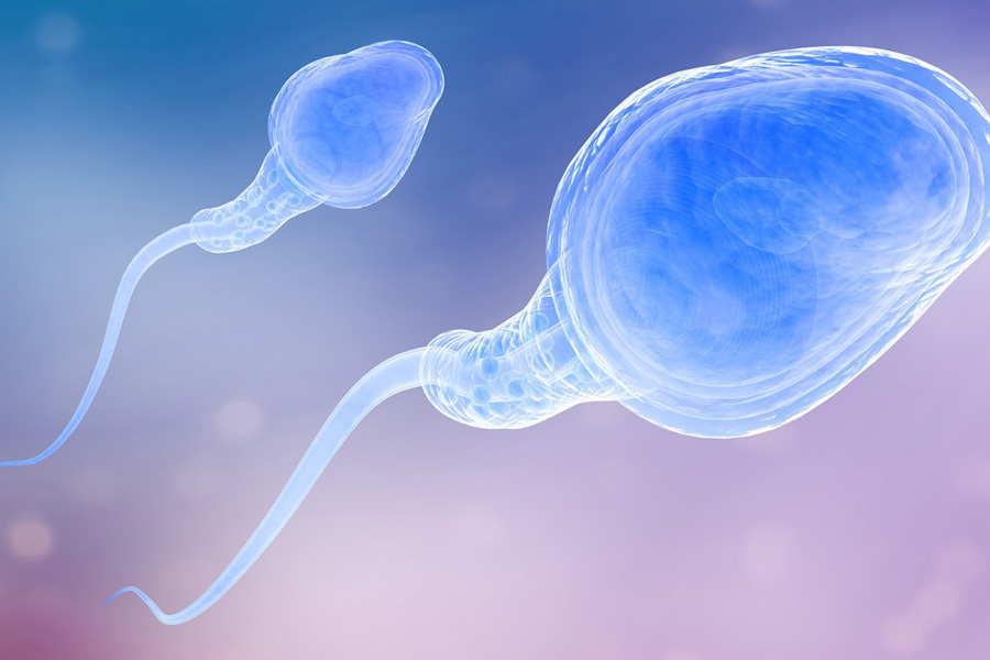 infertilidad y disfunción sexual