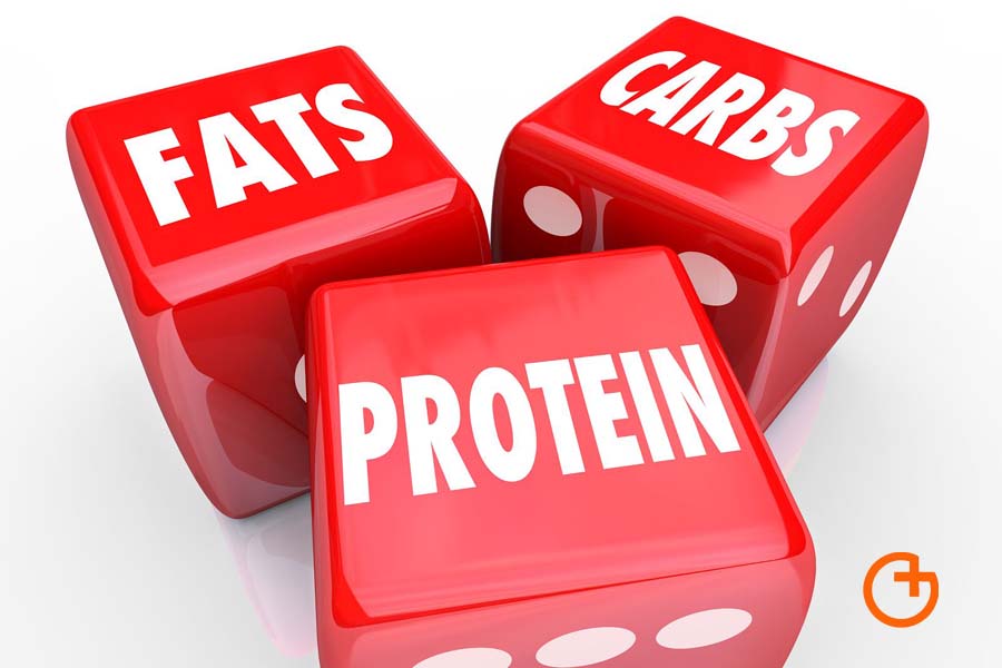 ¿Por qué es importante la proteína en nuestra alimentación?
