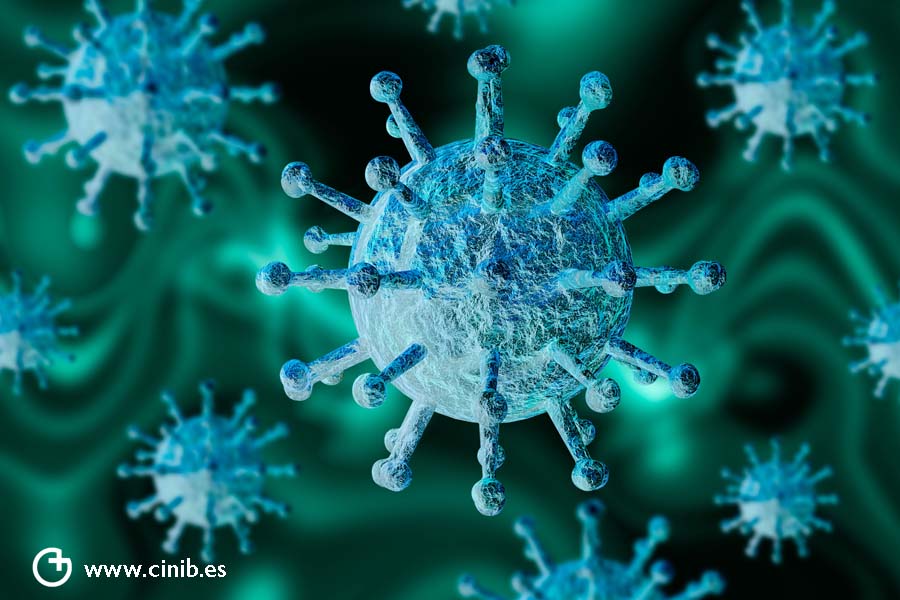 ¿Cómo se transmiten los coronavirus de los animales a los humanos? 